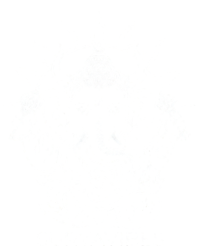 SuryaVibes